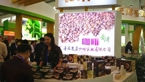 普洱市組團參加第五屆中國—南亞博覽會暨第二十五屆中國昆明進出口商品交易會，會議及展覽服務全面升級